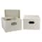 Household Essentials Storage Bins with Lids, 2ct.